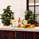 Gin inspirado en las naranjas de Sevilla, el recomendado del verano
