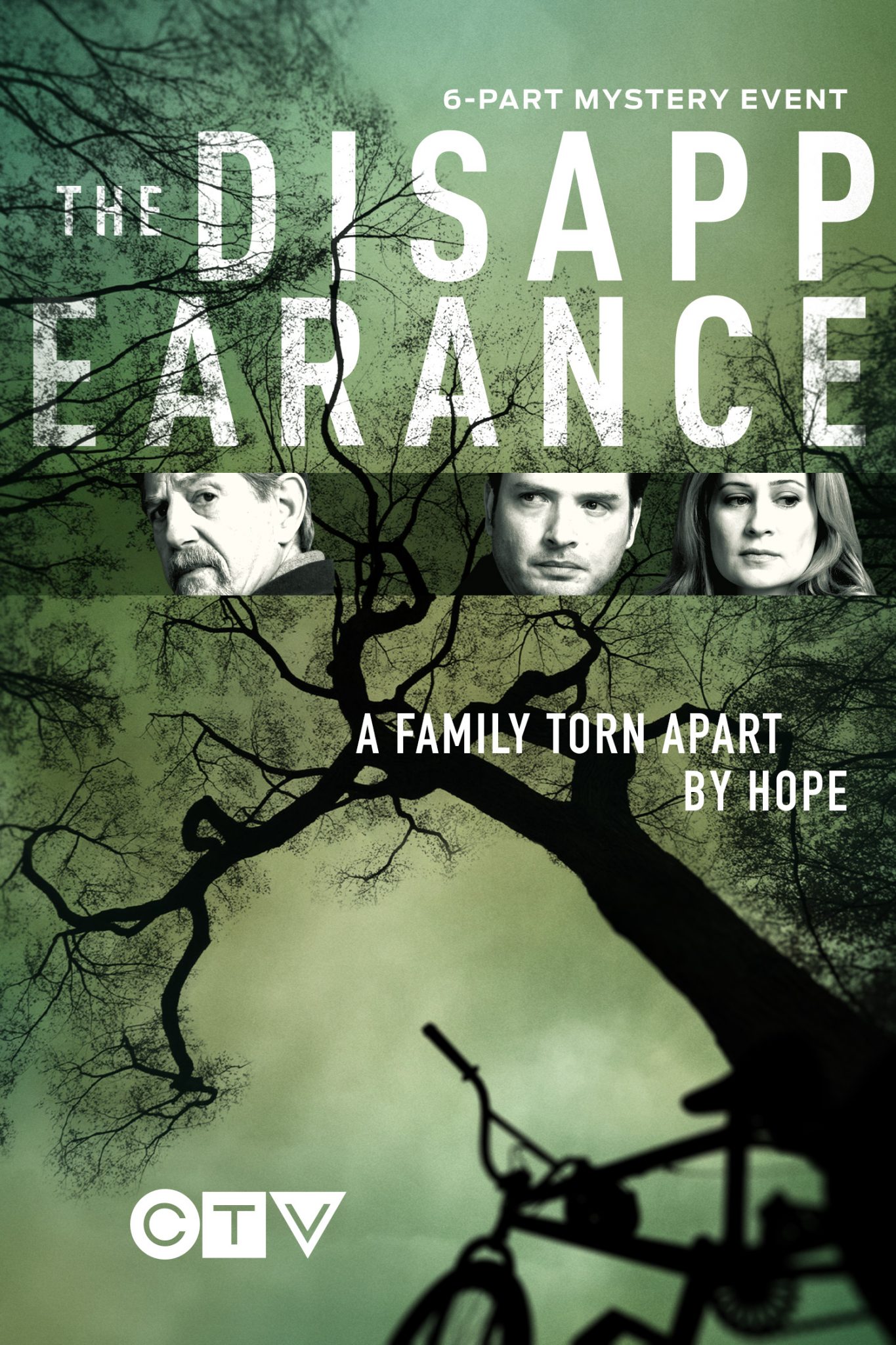 The Disappearance: misterio, suspenso y drama familiar