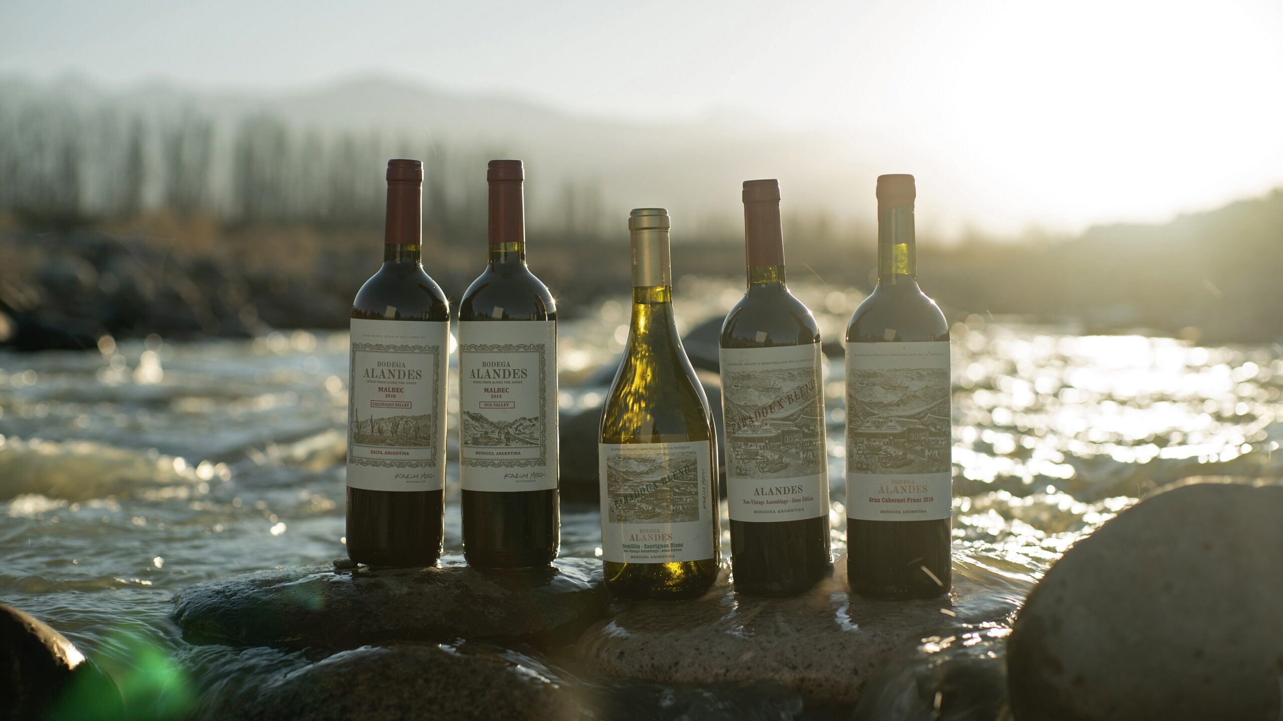 Colosso Wines y Sottano se unen a Alandes y La Coste de los Andes