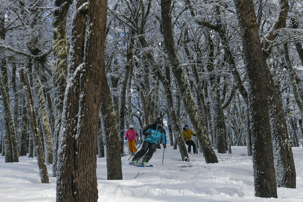 Cerro Bayo inaugura la temporada: nieve y montaña 
