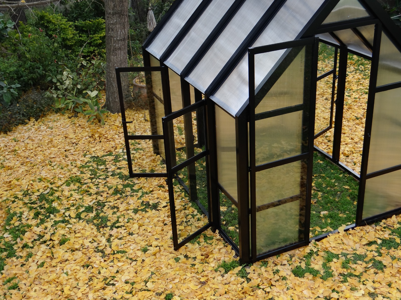 Miminibotánico: invernaderos Premium para cultivar naturaleza en casa