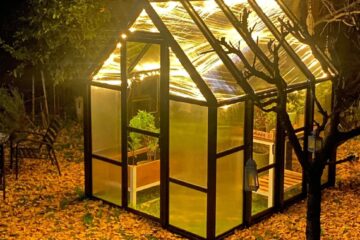 Miminibotánico: invernaderos Premium para cultivar naturaleza en casa