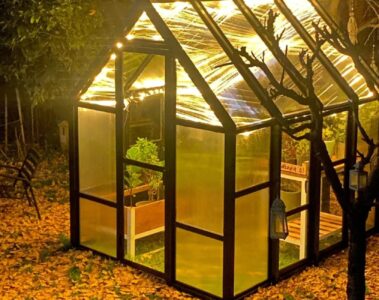 Miminibotánico: invernaderos Premium para cultivar naturaleza en casa