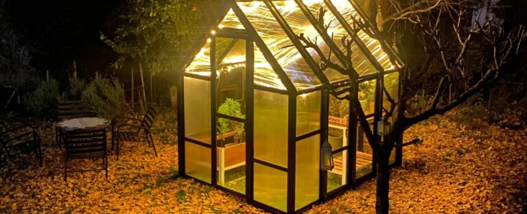 Miminibotánico: invernaderos Premium para cultivar naturaleza en casa