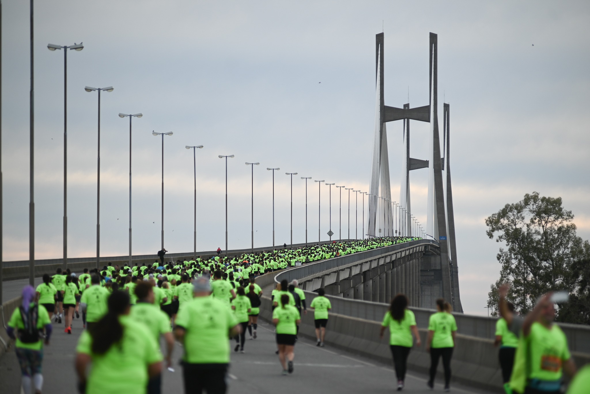 Maratón Puente Rosario-Victoria: cuenta regresiva para la 15ª edición