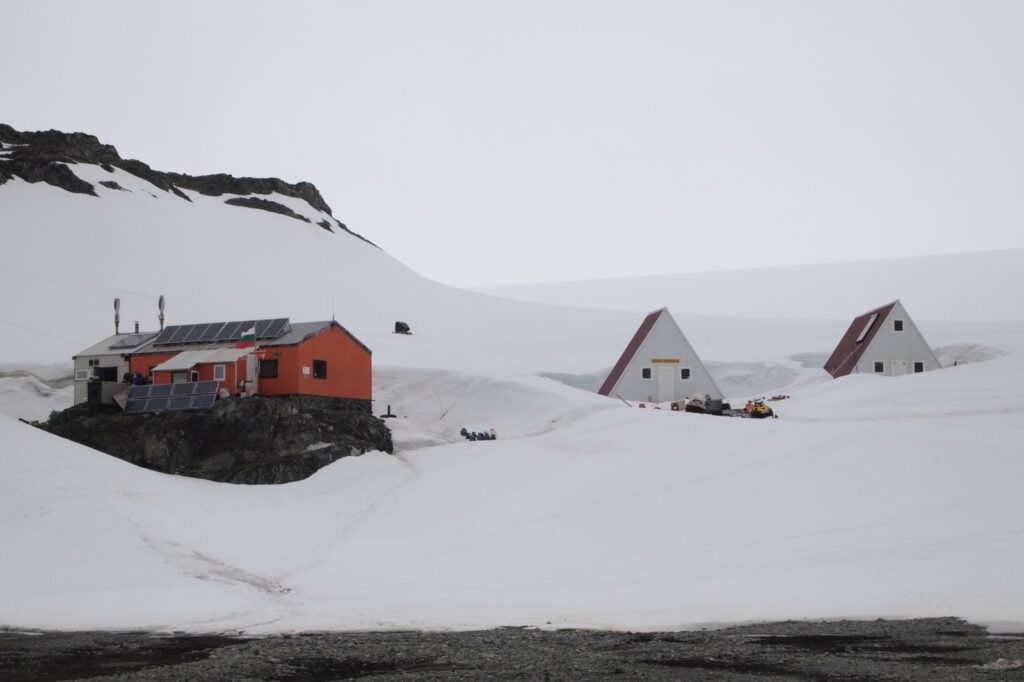 Antártida: dos experiencias turísticas para viajar al continente blanco