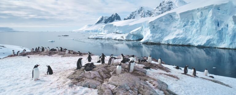 Antártida: dos experiencias turísticas para viajar al continente blanco