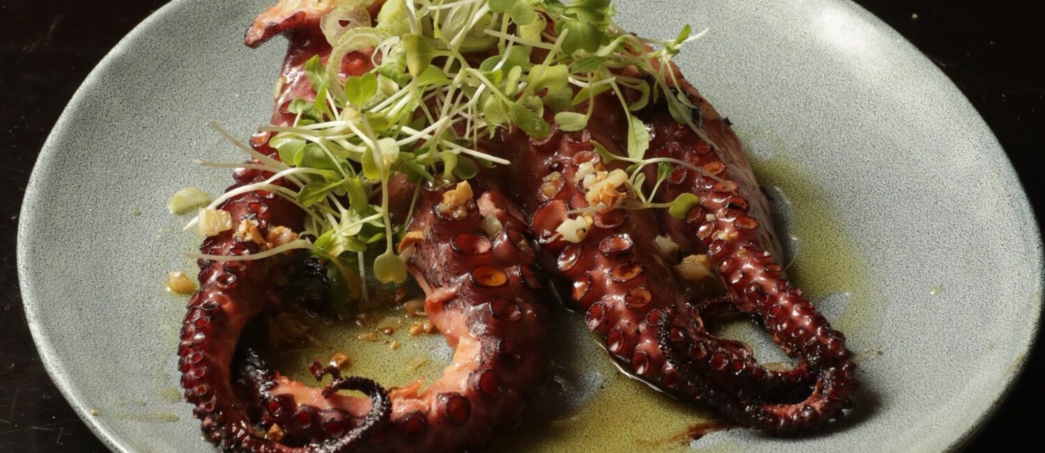 Soto Bosque, el nuevo refugio natural en Punta del Este