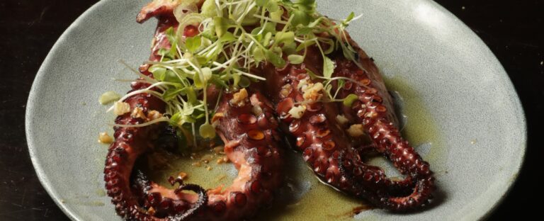 Soto Bosque, el nuevo refugio natural en Punta del Este