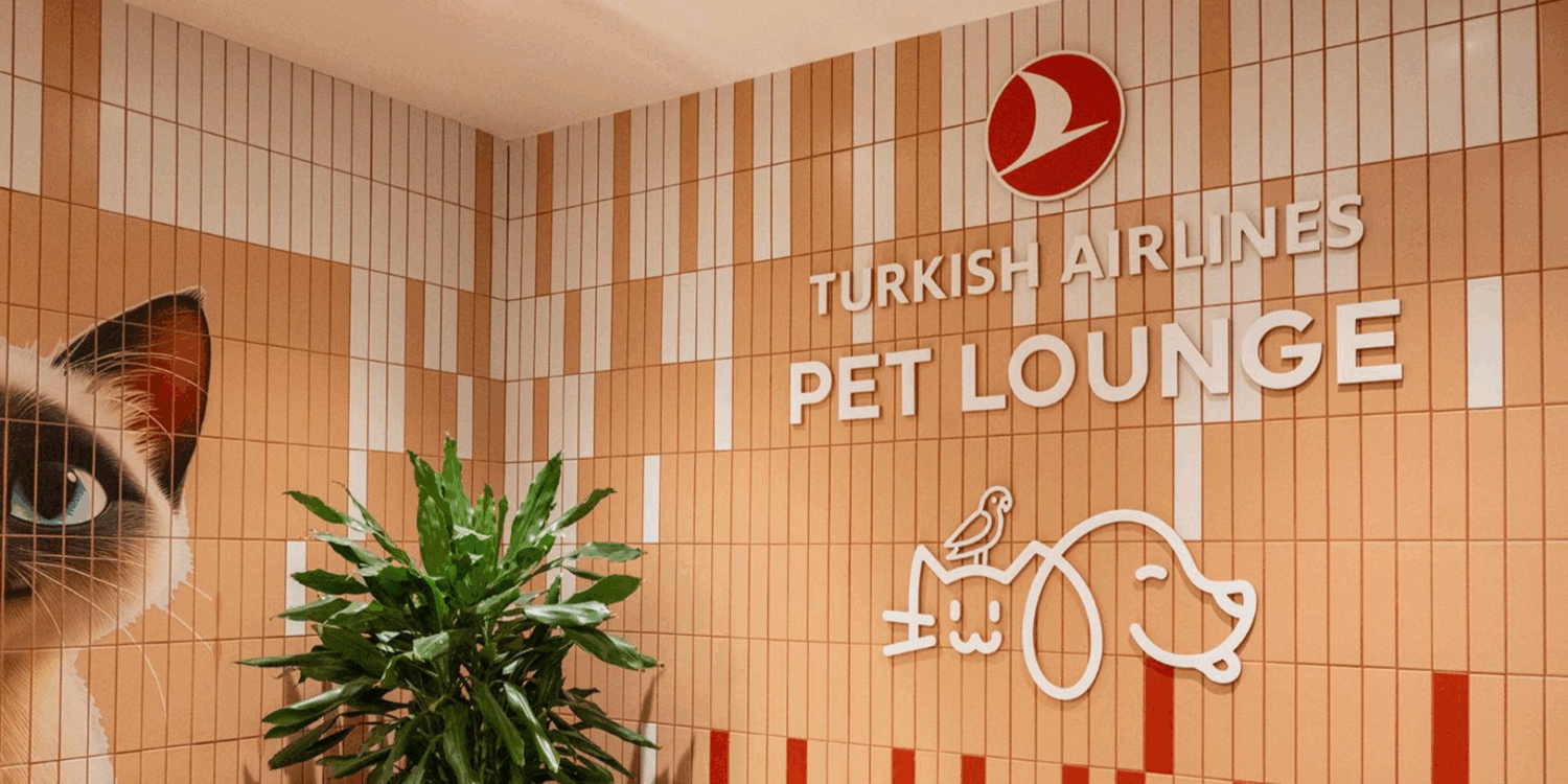 Viajes Pet-Friendly: una guía para viajar con mascotas 