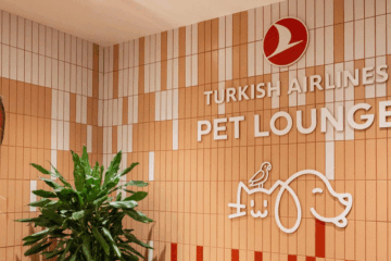 Viajes Pet-Friendly: una guía para viajar con mascotas 