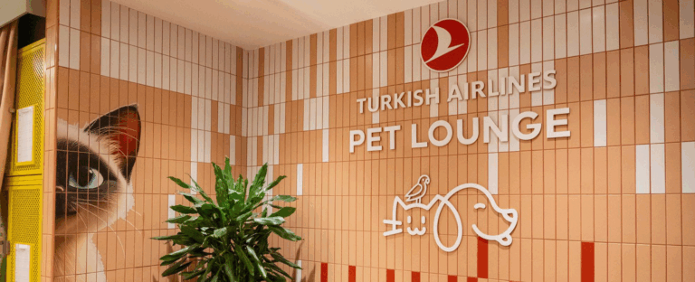 Viajes Pet-Friendly: una guía para viajar con mascotas 