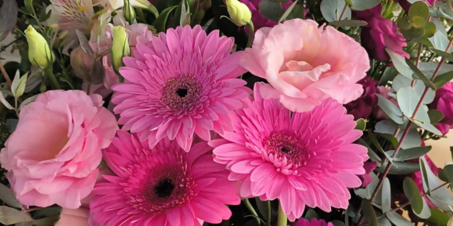 Almacén de Flores: el arte de regalar emociones en el corazón de Rosario