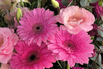 Almacén de Flores: el arte de regalar emociones en el corazón de Rosario