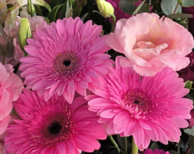 Almacén de Flores: el arte de regalar emociones en el corazón de Rosario