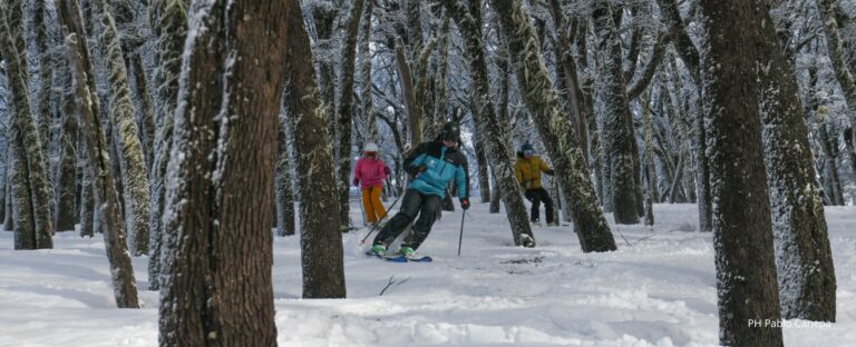 Invierno en Cerro Bayo: una propuesta para disfrutar la montaña en familia