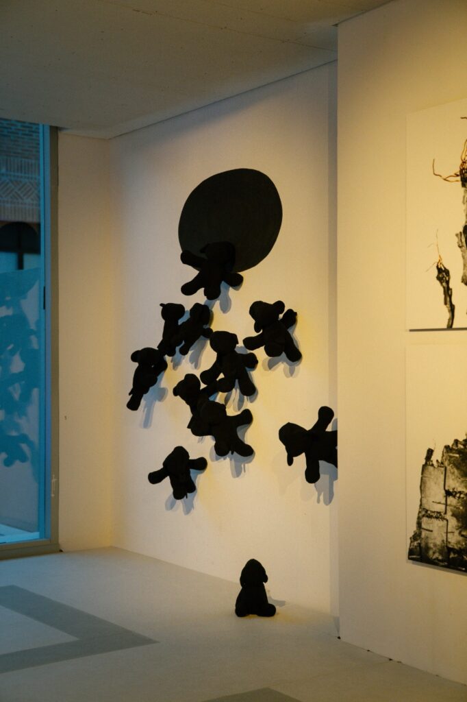 Mostra gallery: nace un espacio clave para el arte contemporáneo en Rosario